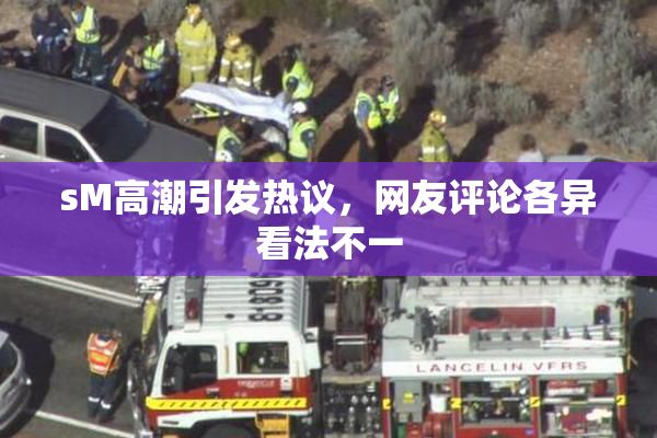 sM高潮引发热议，网友评论各异看法不一