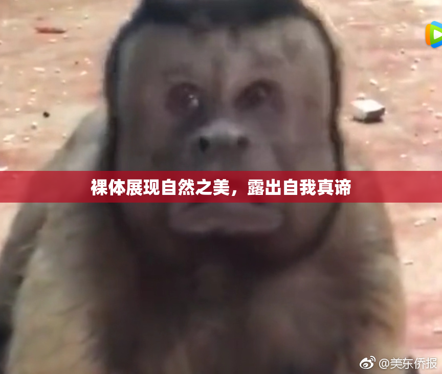 裸体展现自然之美，露出自我真谛