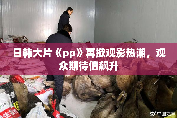 日韩大片《pp》再掀观影热潮，观众期待值飙升