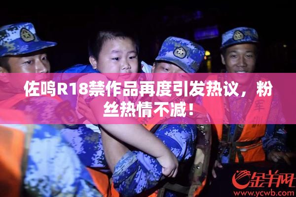 佐鸣R18禁作品再度引发热议，粉丝热情不减！
