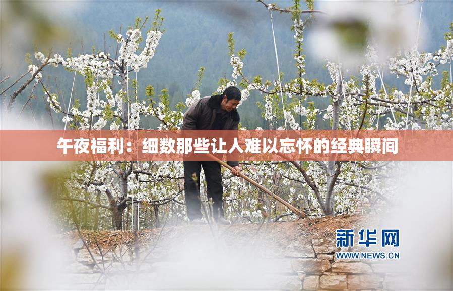 午夜福利：细数那些让人难以忘怀的经典瞬间