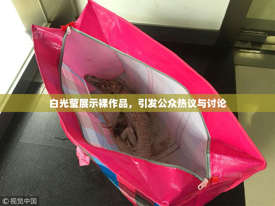 白光莹展示裸作品，引发公众热议与讨论