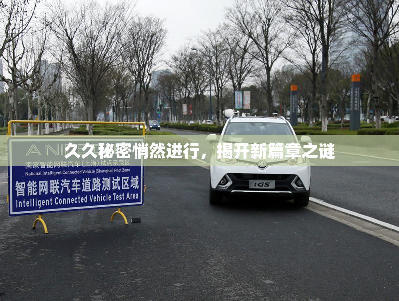 久久秘密悄然进行，揭开新篇章之谜