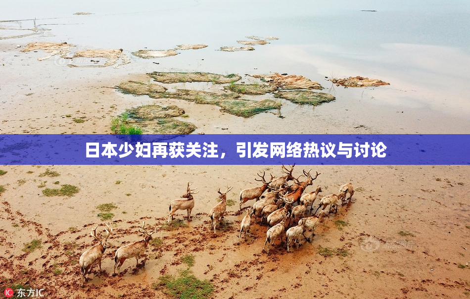 日本少妇再获关注，引发网络热议与讨论