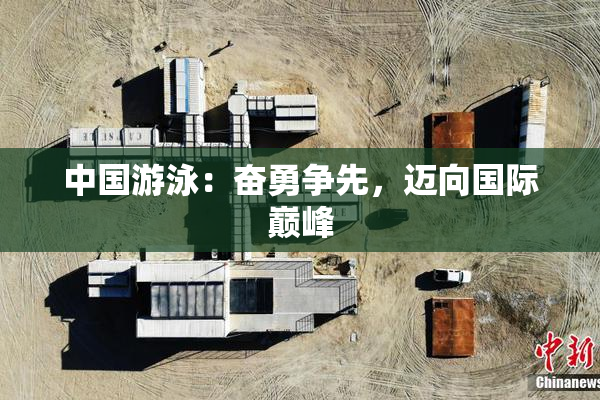 中国游泳：奋勇争先，迈向国际巅峰