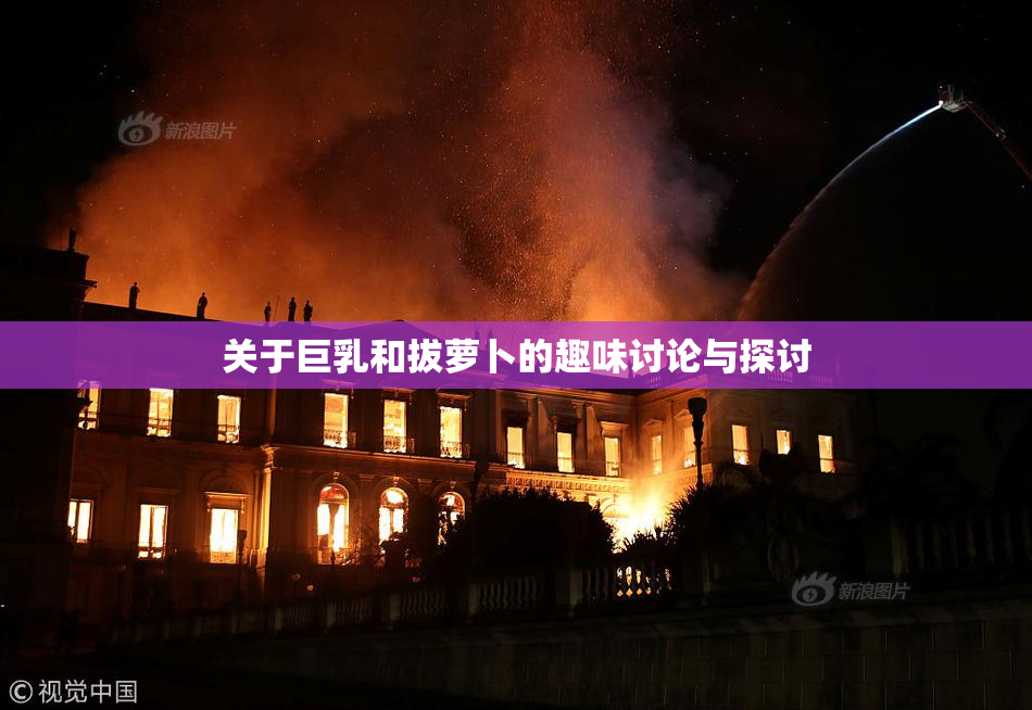 关于巨乳和拔萝卜的趣味讨论与探讨