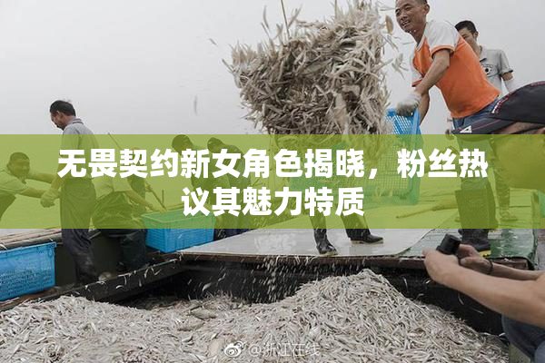 无畏契约新女角色揭晓，粉丝热议其魅力特质