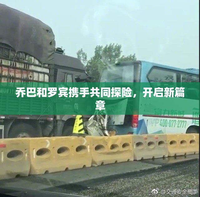 乔巴和罗宾携手共同探险，开启新篇章