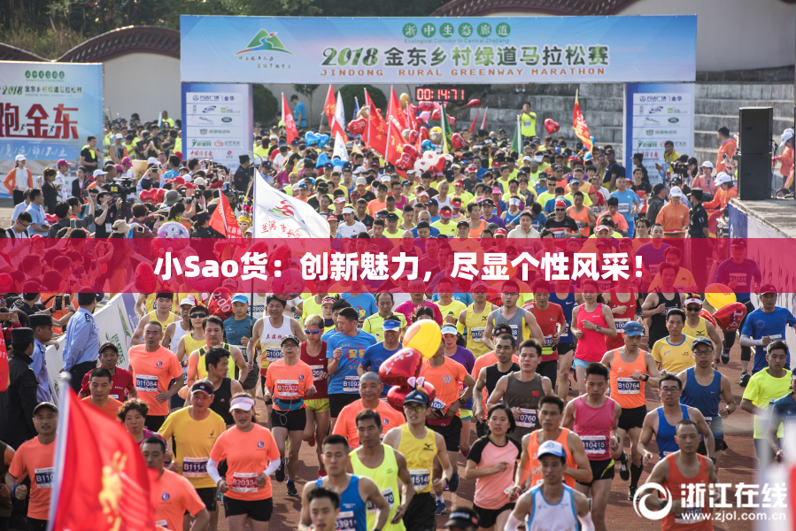 小Sao货：创新魅力，尽显个性风采！