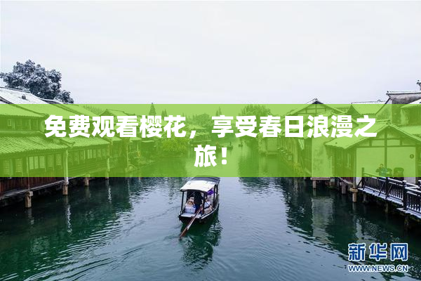 免费观看樱花，享受春日浪漫之旅！