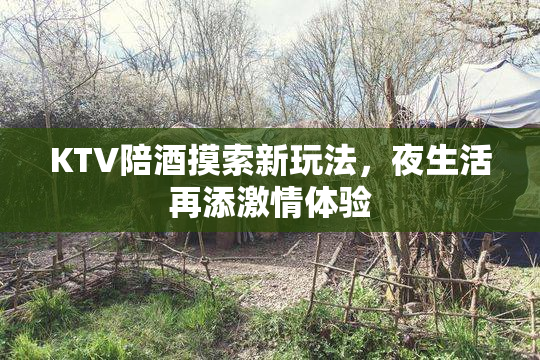 KTV陪酒摸索新玩法，夜生活再添激情体验