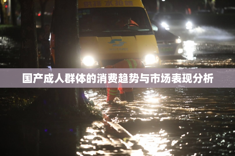 国产成人群体的消费趋势与市场表现分析