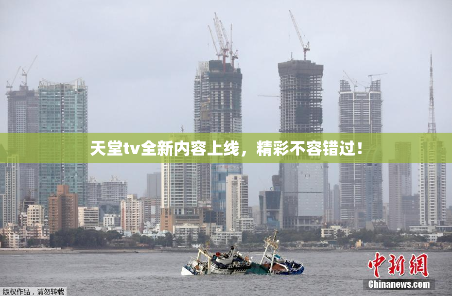 天堂tv全新内容上线，精彩不容错过！