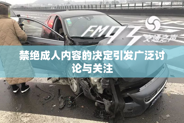禁绝成人内容的决定引发广泛讨论与关注