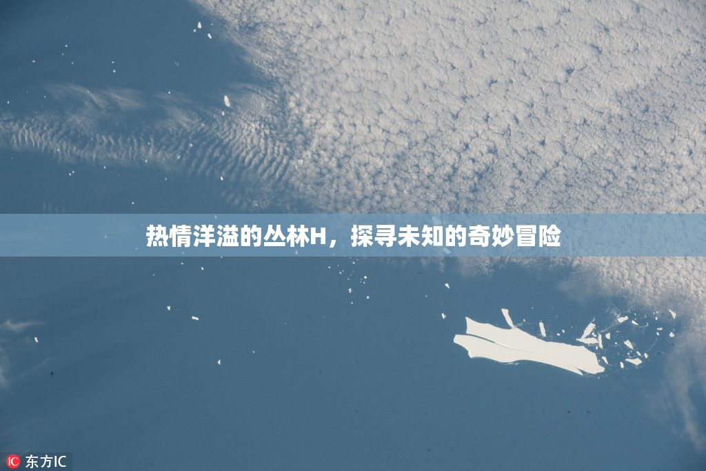 热情洋溢的丛林H，探寻未知的奇妙冒险