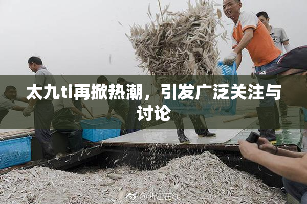 太九ti再掀热潮，引发广泛关注与讨论