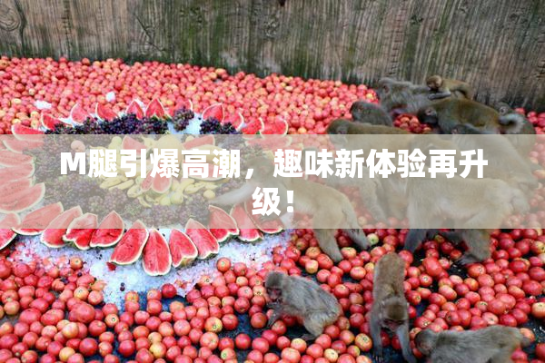 M腿引爆高潮，趣味新体验再升级！