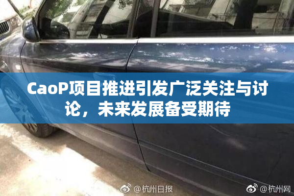 CaoP项目推进引发广泛关注与讨论，未来发展备受期待