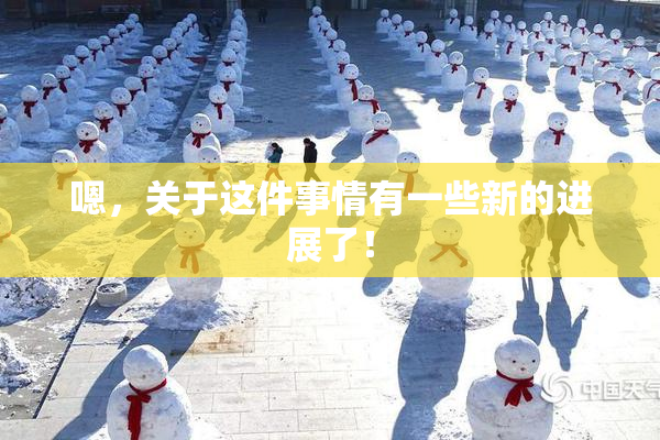 嗯，关于这件事情有一些新的进展了！