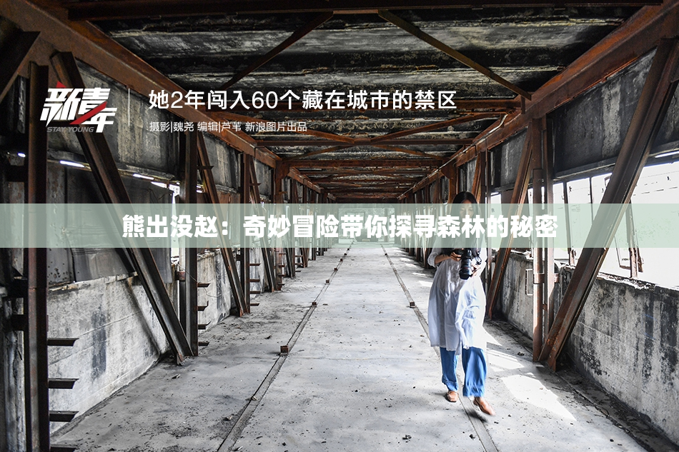 熊出没赵：奇妙冒险带你探寻森林的秘密