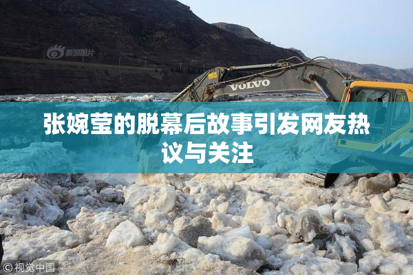 张婉莹的脱幕后故事引发网友热议与关注