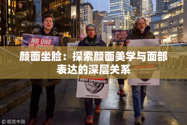颜面坐脸：探索颜面美学与面部表达的深层关系