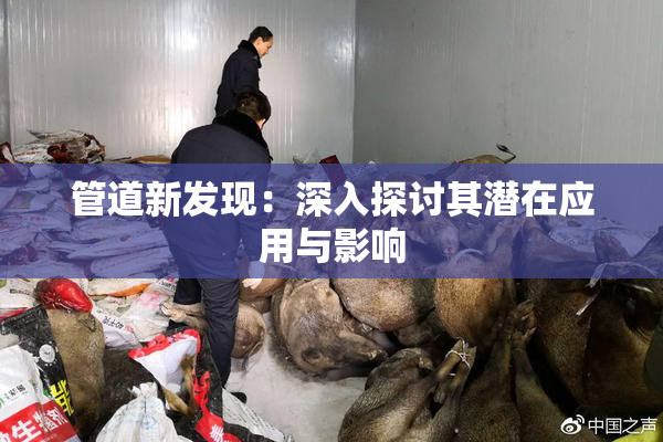 管道新发现：深入探讨其潜在应用与影响