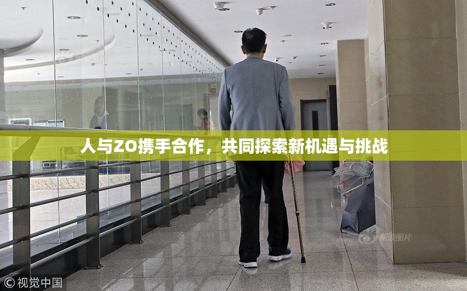 人与ZO携手合作，共同探索新机遇与挑战