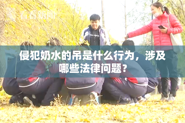 侵犯奶水的吊是什么行为，涉及哪些法律问题？