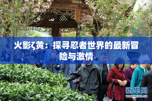 火影ζ黄：探寻忍者世界的最新冒险与激情