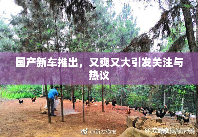 国产新车推出，又爽又大引发关注与热议
