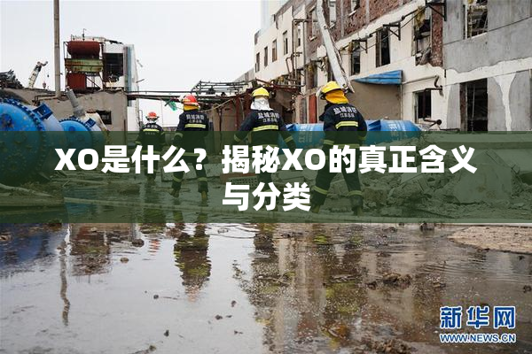 XO是什么？揭秘XO的真正含义与分类