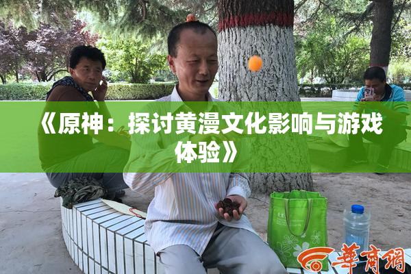 《原神：探讨黄漫文化影响与游戏体验》