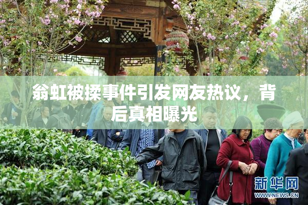 翁虹被揉事件引发网友热议，背后真相曝光