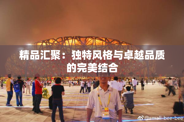 精品汇聚：独特风格与卓越品质的完美结合