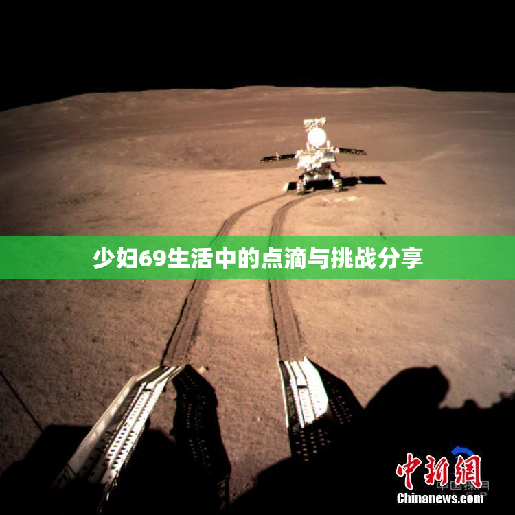 少妇69生活中的点滴与挑战分享