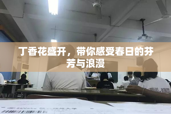 丁香花盛开，带你感受春日的芬芳与浪漫