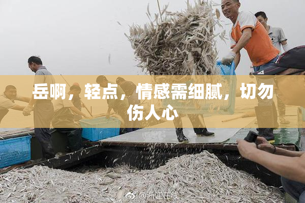 岳啊，轻点，情感需细腻，切勿伤人心