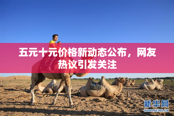 五元十元价格新动态公布，网友热议引发关注