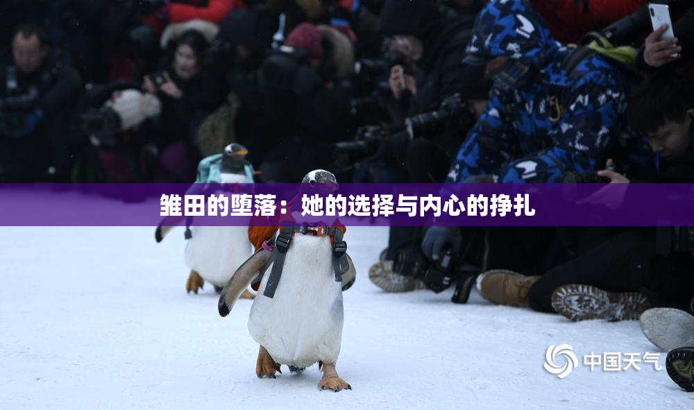 雏田的堕落：她的选择与内心的挣扎