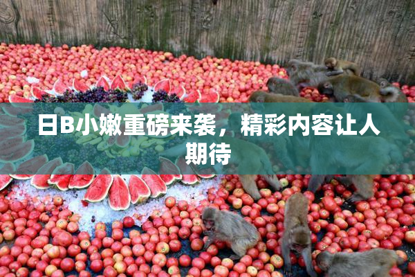 日B小嫩重磅来袭，精彩内容让人期待