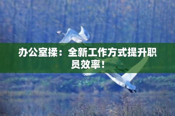 办公室揉：全新工作方式提升职员效率！