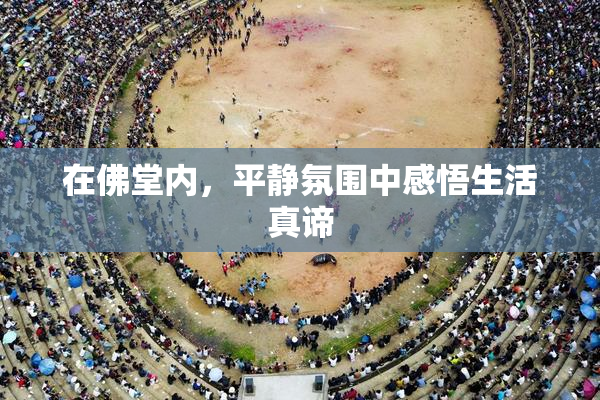 在佛堂内，平静氛围中感悟生活真谛