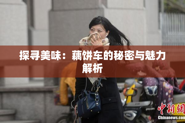 探寻美味：藕饼车的秘密与魅力解析