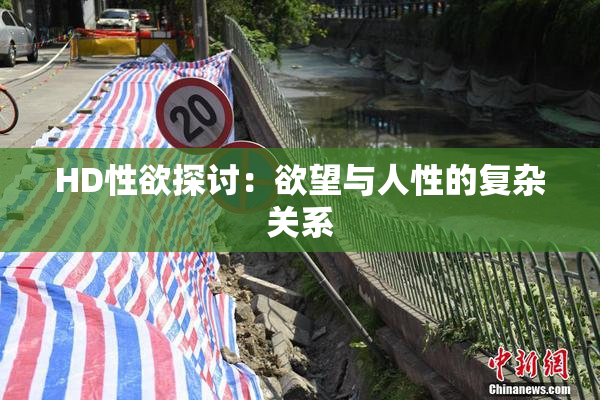 HD性欲探讨：欲望与人性的复杂关系