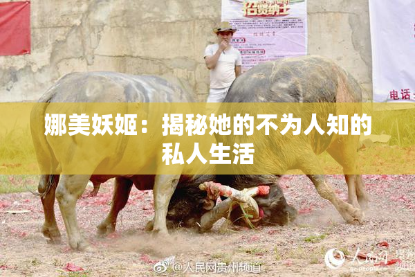 娜美妖姬：揭秘她的不为人知的私人生活