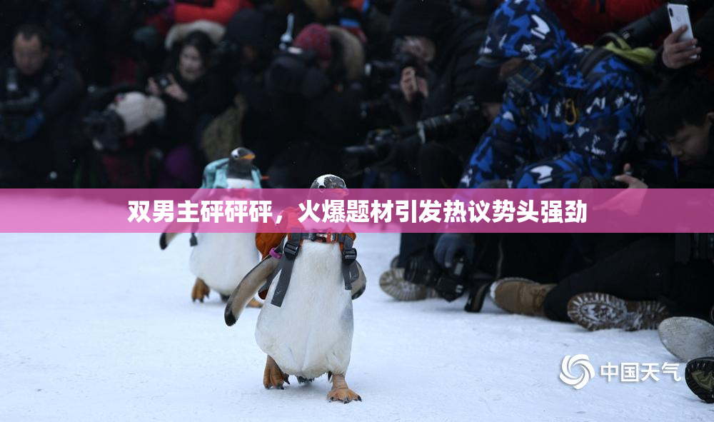 双男主砰砰砰，火爆题材引发热议势头强劲