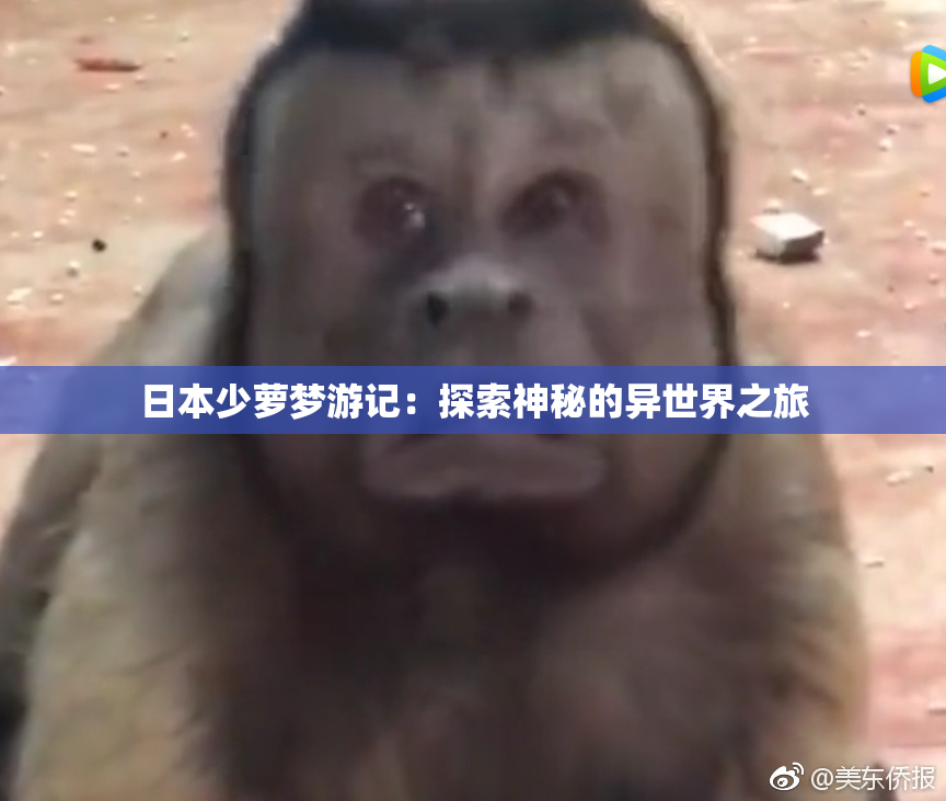 日本少萝梦游记：探索神秘的异世界之旅