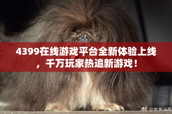 4399在线游戏平台全新体验上线，千万玩家热追新游戏！