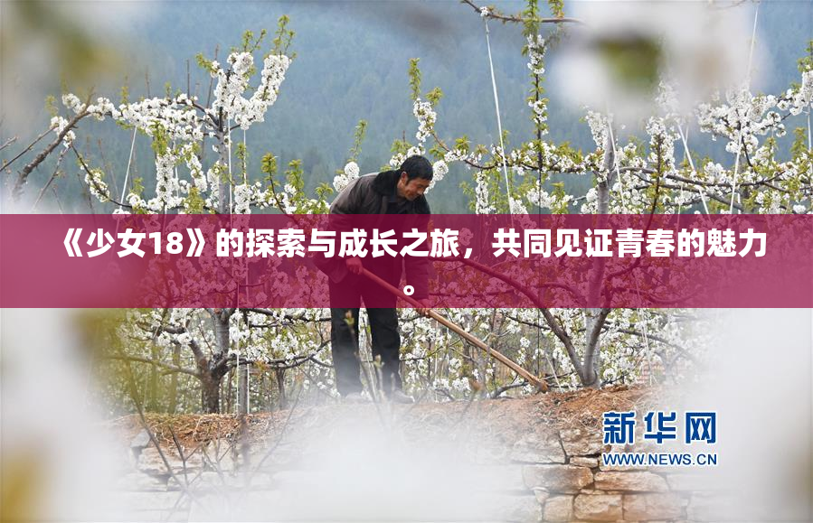 《少女18》的探索与成长之旅，共同见证青春的魅力。